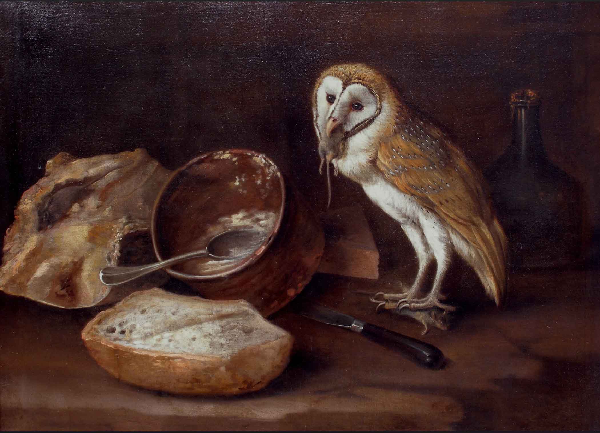 An Owls Lunch